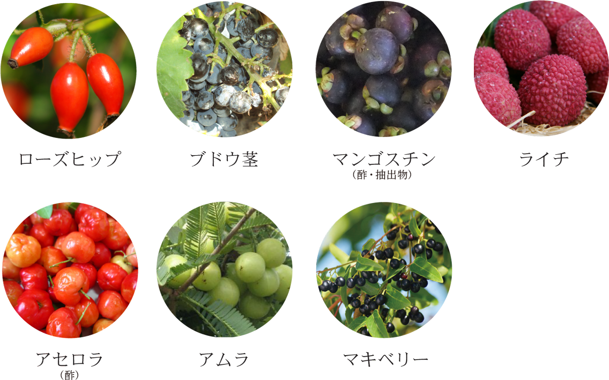 特徴的なフルーツ　ローズヒップ、ブドウ茎、マンゴスチン、ライチ、アセロラ、アムラ、マキベリー