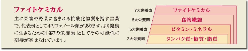 2014年11月、FFCパイロゲンスペシャル3とノンカロリーパイロゲン