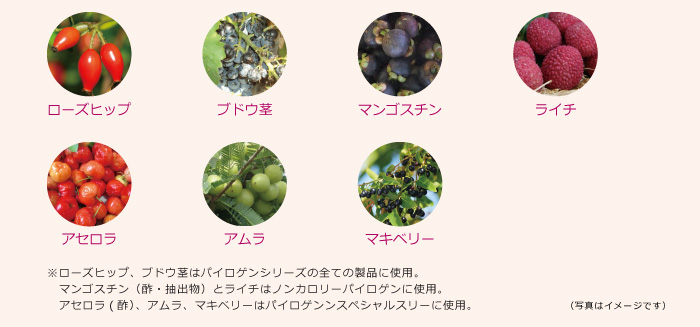 ローズヒップ、ブドウ茎、マンゴスチン、ライチ、アセロラ、アムラ、マキベリー