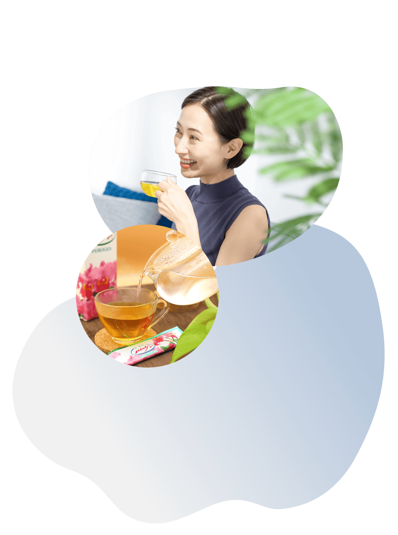 パイロゲンとは | 株式会社赤塚