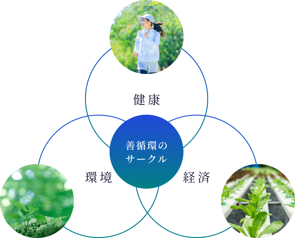 パイロゲンとは | 株式会社赤塚